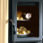Gaia Forno